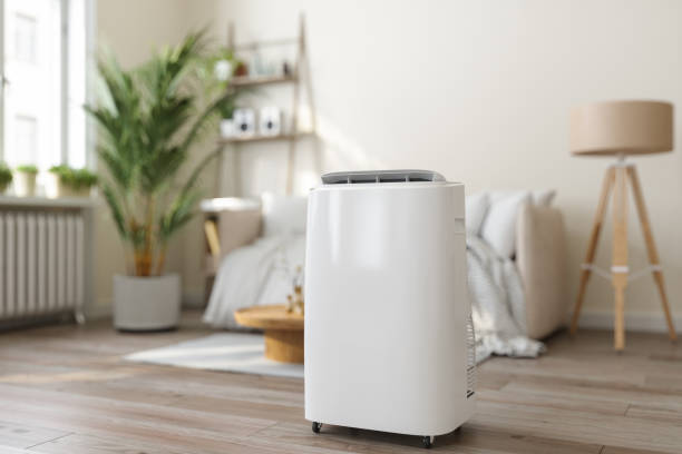 Best Furnace Cleaning in St Leo, FL